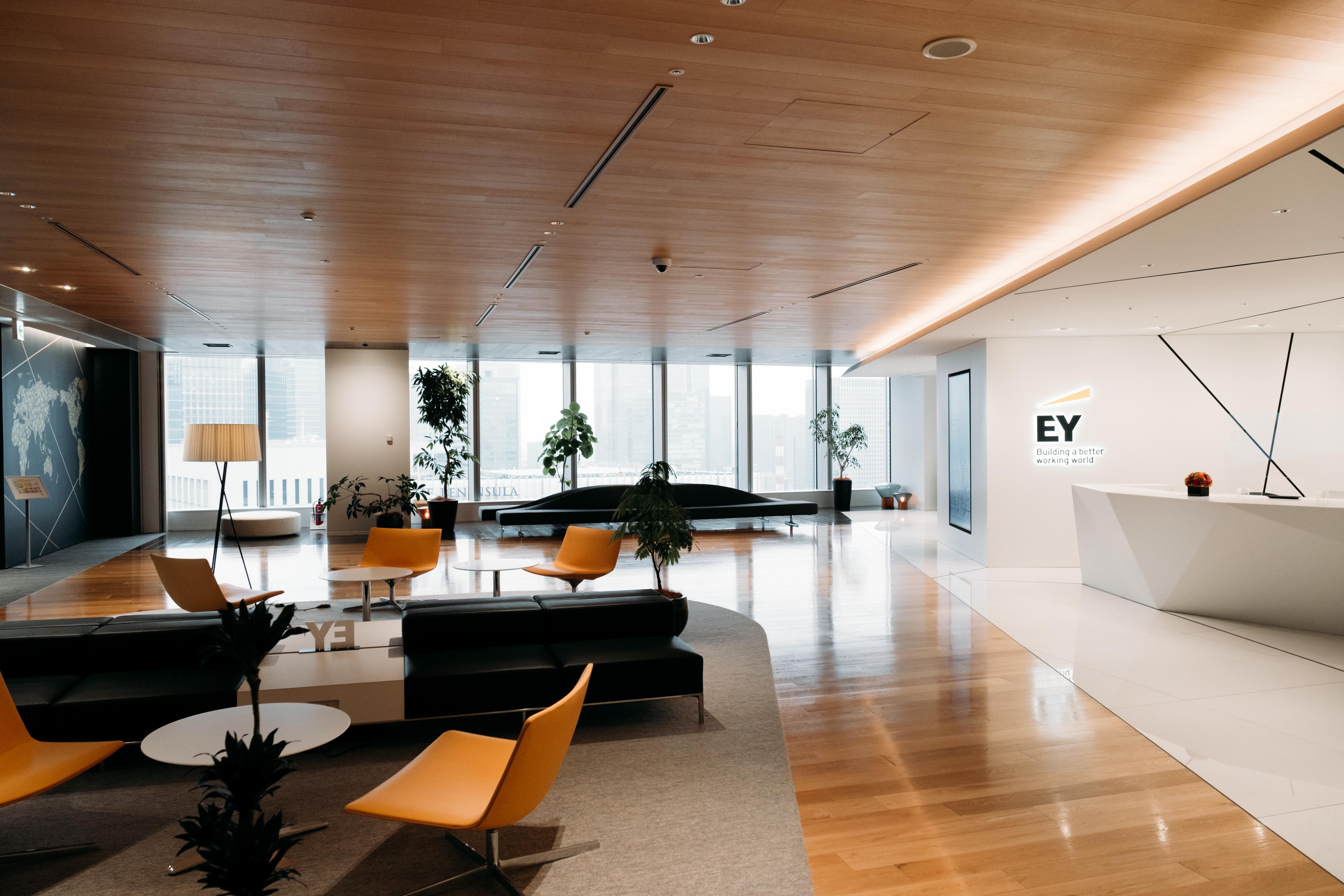 EY Japan株式会社（Diverse Abilities Center）のイメージ画像